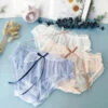 Sakura Wing Chiffon Panties -Clothing Discount Store 75c2135170814a370f933753240689ee