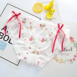 Strawberry Field Panties -Clothing Discount Store HTB15SNkXULrK1Rjy1zbq6AenFXaZ