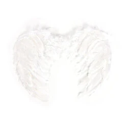 Angel Wings -Clothing Discount Store angel wings angel angel wings angelic angels bird accessories kawaii babe 529
