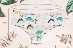 Dino Panties -Clothing Discount Store dino panties briefs dinos dinosaurs lingerie panties underwear kawaii babe 327