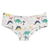 Dino Panties -Clothing Discount Store dino panties briefs dinos dinosaurs lingerie panties underwear kawaii babe 825