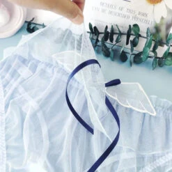 Sakura Wing Chiffon Panties 32 Sakura Wing Chiffon Panties -Clothing Discount Store ff52c51612cde467eb5e01025a422eea