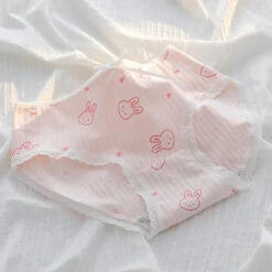 Heart & Bunny Panties 10 Heart & Bunny Panties -Clothing Discount Store heart bunny panties womens underpants bunny panties kawaii 822