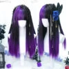 Purple & Black Split Cosplay Wig