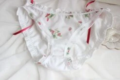 Strawberry Field Panties -Clothing Discount Store product image 844595273