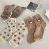 Teddy Bear Socks -Clothing Discount Store teddy bear socks bear bears fuzzy socks 840